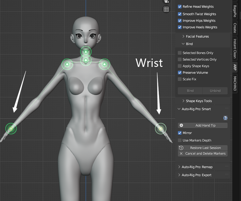 Screenshot of the Get Selected Objects operation in the Blender Auto-Rig Pro (ARP) add-on